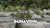 a river surrounded by rocks and purple flowers with the word günaydin in white