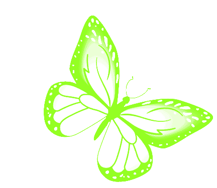 green butterfly cartoon