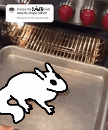 a drawing of a rabbit in a pan that says freeze the squirrel