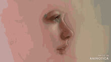 a person is painting a woman 's face with a brush and the words made in animotica are visible