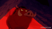 a gif from the lion king shows a warthog smiling