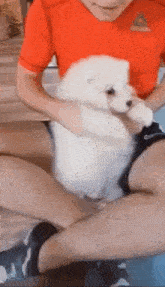 a man in a red shirt is holding a white puppy .