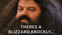 a man with a beard says there 's a blizzard , brockly ..