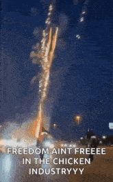 a fireworks display with the caption freedom aint freeeee in the chicken industryyy