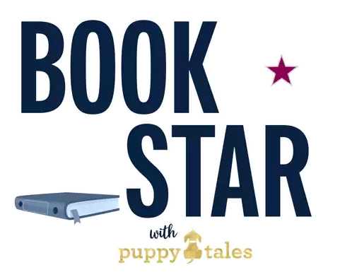 a logo for book star with a stack of books and a blue star