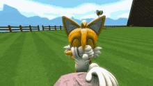 Tails Tails Frotte Ses Yeux GIF - Tails Tails Frotte Ses Yeux Tails Hallucine GIFs