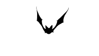 a black bat is flying in the air on a white background
