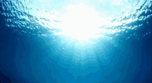 Ocean Light GIF