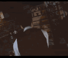 a man wearing a white shirt and a black vest