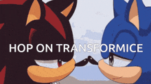 shadow the hedgehog and sonic the hedgehog are kissing each other