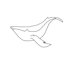 Whale Swimming GIF - Whale Swimming Gifanimation GIFs