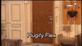 a picture of a living room with the words " plugify flex " on it