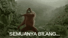 Orangutan Joget GIF - Orangutan Coklat Indonesia GIFs