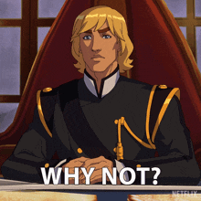 Why Not Prince Adam GIF - Why Not Prince Adam Masters Of The Universe Revolution GIFs