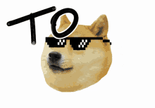 Doge Dogecoin GIF - Doge Dogecoin Crypto GIFs