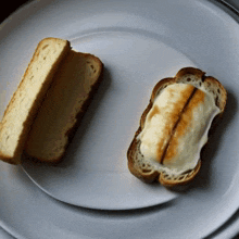 two slices of bread on a white plate with one slice cut in half and the other sliced in half
