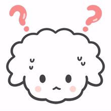 bichonfrise cute