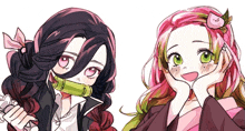 a drawing of a girl with pink hair and a girl with black hair