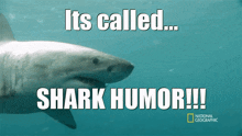 Shark Dark Humor GIF - Shark Dark Humor Its Called GIFs