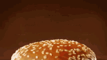 Burger King Bacon Cheese Burger GIF