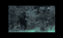 GIF