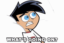 whats going on danny fenton mystery meat danny phantom whats happening
