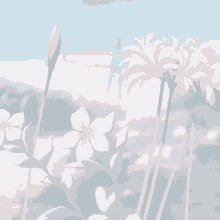 a bunch of flowers are growing in a field with a blue sky in the background