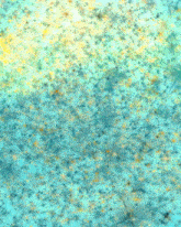 the word camfa is on a blue background