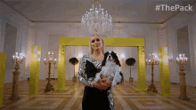 Here We Are The Pack GIF - Here We Are The Pack Ta Da GIFs