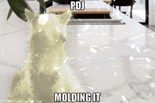 a picture of a cat with the words pdj molding it