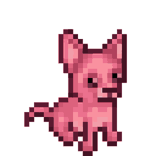 pink pup