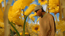 a man standing in a field of yellow flowers