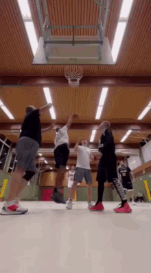 Airfloater Basketball Dimos GIF - Airfloater Basketball Dimos Dimos Airfloater GIFs