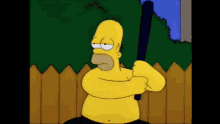 Homer Ninja Homer GIF