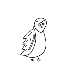 kind owl