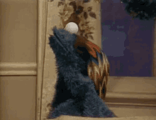 Confused Cookie GIF - Confused Cookie Monster GIFs