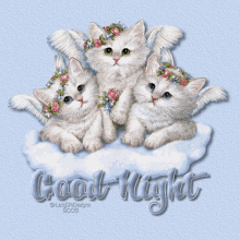 Good Night Cats GIF - Good Night Cats Kittens GIFs