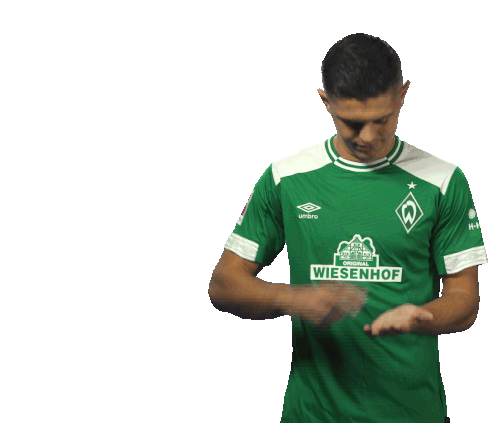 Svw Werder Sticker - Svw Werder Werder Bremen Stickers