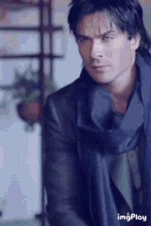 Tvd The Vampire Diaries GIF - Tvd The Vampire Diaries Damon Salvatore GIFs