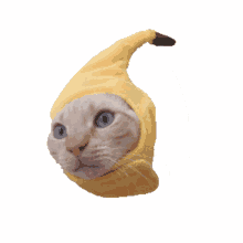 banana tobi