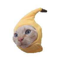 Banana Cat Tobi Banana Sticker - Banana Cat Tobi Banana Banana Stickers