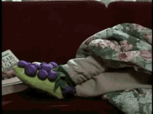 Grape Slippers GIF - Wish Upon A Star Grapes Costume GIFs