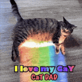 a cat laying on the floor with a rainbow behind it and the words i love my gay cat dad