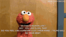 Silly Elmo GIF - Silly Elmo Fall GIFs