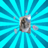 a picture of a cat laying on a bed with a blue striped background