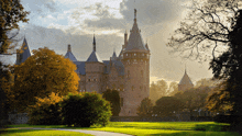 a large castle surrounded by trees and grass