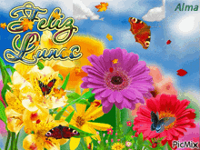 a picture of flowers and butterflies with the words feliz lunes