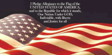 Pledge Of Allegiance America GIF - Pledge Of Allegiance America American Flag GIFs
