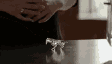 Water Magic Spell Little Horse Made Out Of Water GIF