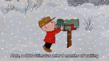 Charlie Brown Charlie Brown Christmas GIF - Charlie Brown Charlie Brown Christmas Stimulus Check GIFs